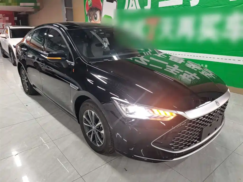 BYD Qin PLUS 2023 Champion Edition DM-i 55KM Leading фото 22