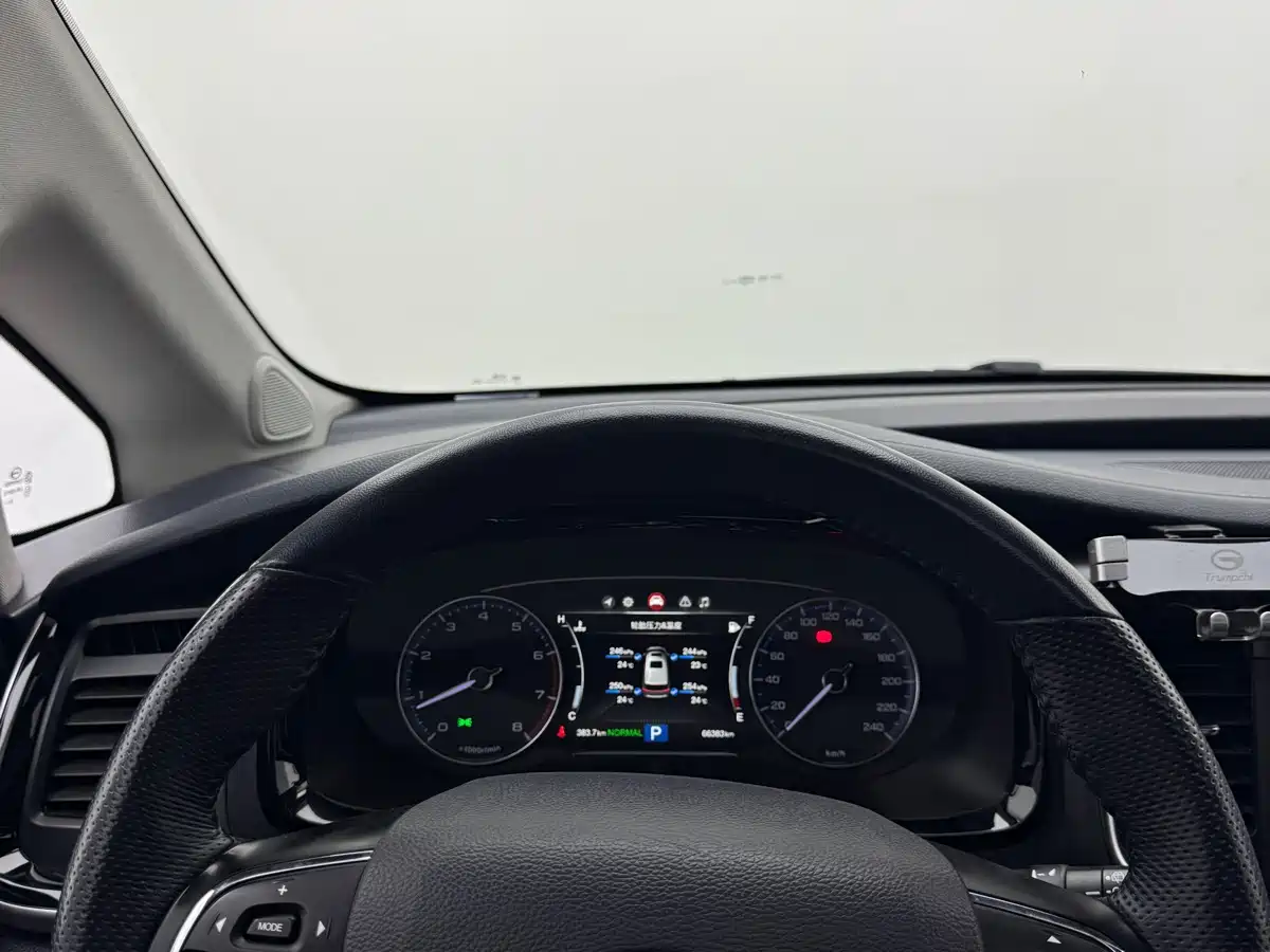 GAC Trumpchi Trumpchi M8 2020 Pilot 390T Ultimate Edition фото 10
