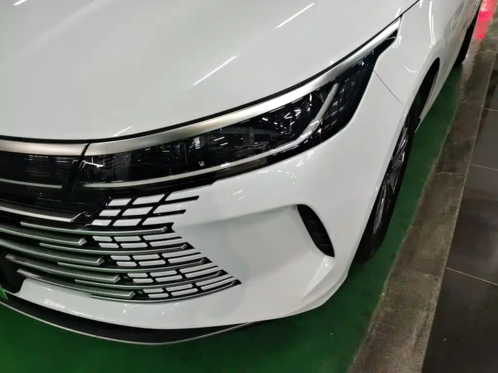 Фото 24 - BYD Destroyer 05