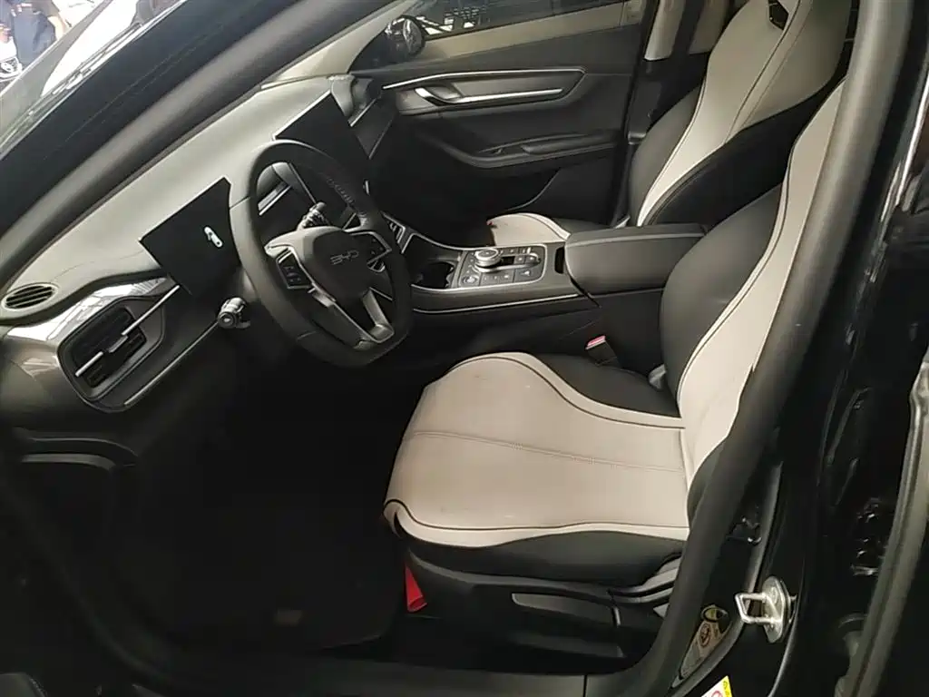 BYD Destroyer 05 2024 Glory Edition DM-i 55KM Luxury фото 15