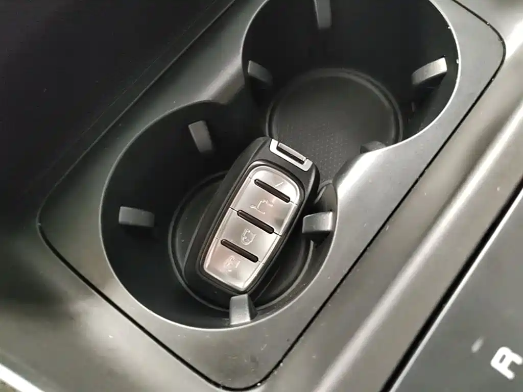 BYD Destroyer 05 2024 Glory Edition DM-i 55KM Luxury фото 9