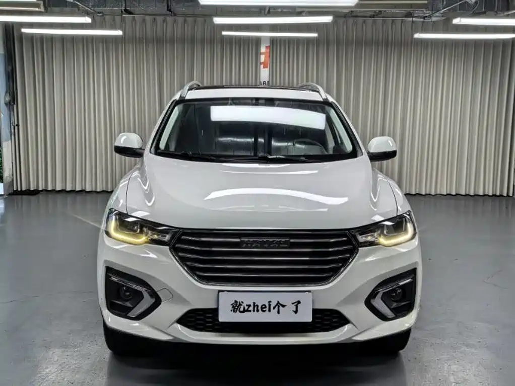2019 Haval H2s