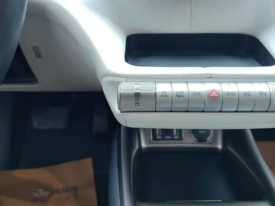 BYD Dolphin 2021 Model 405km Fashion Edition фото 16