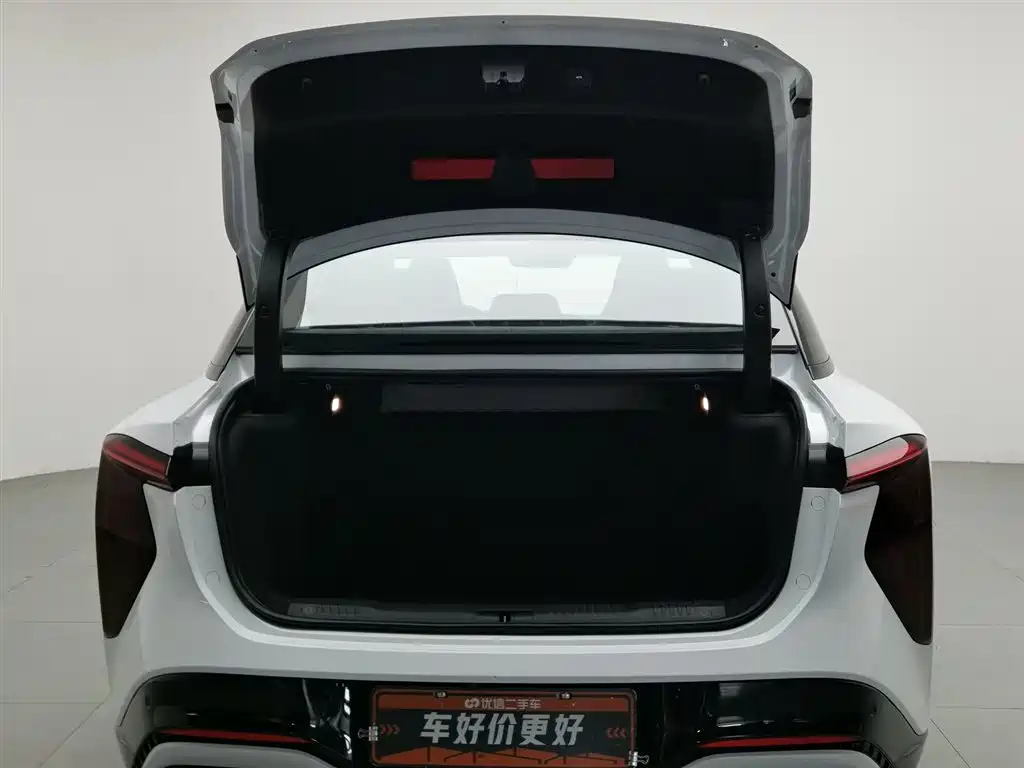 Hongqi EH7 2024 820 Pro Glory Edition фото 16