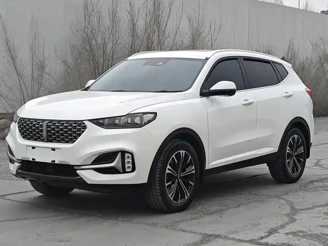 wei-pai wei-brand-vv6