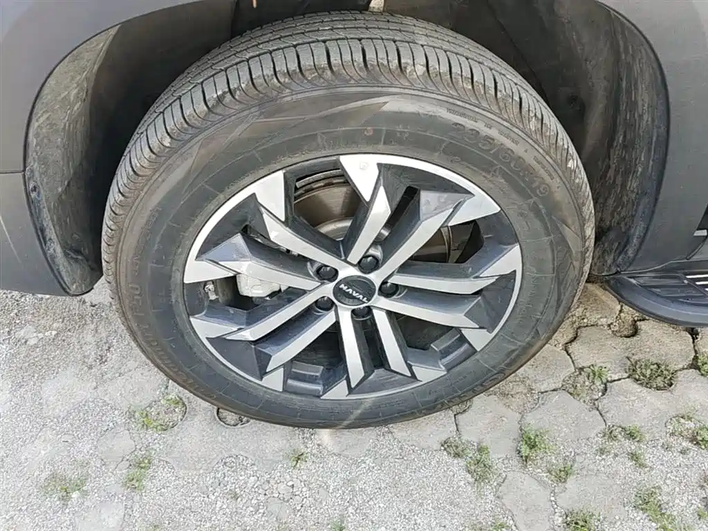 Haval Big Dog 2024 1.5T DCT Border Collie Edition фото 23