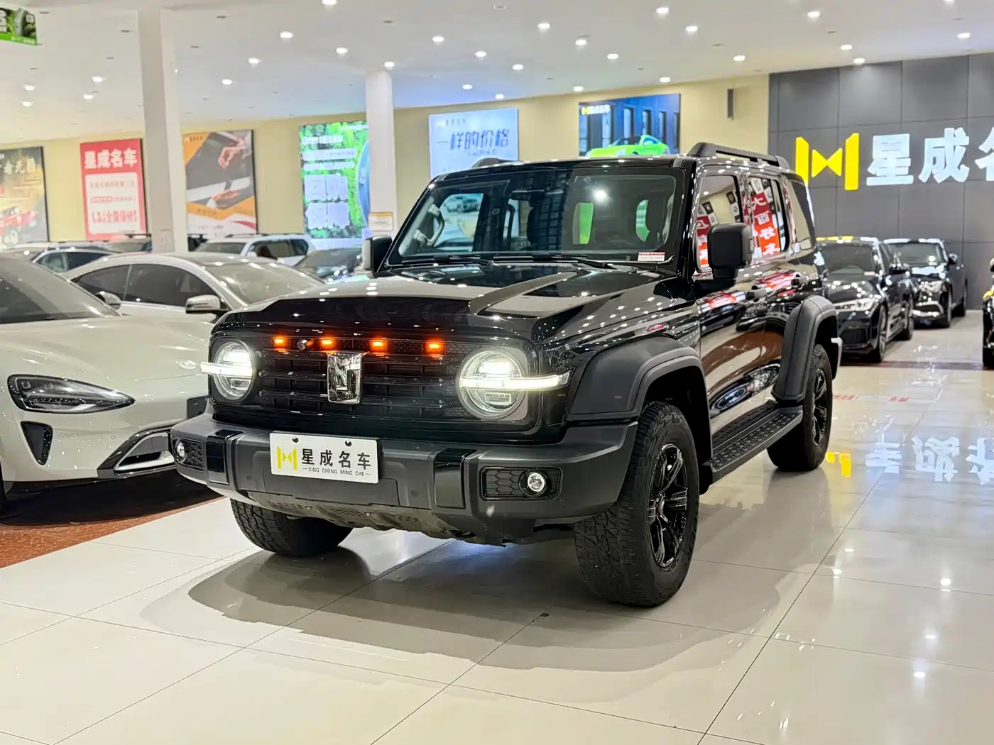 Tank 300 2023 Off-Road Edition 2.0T Conqueror