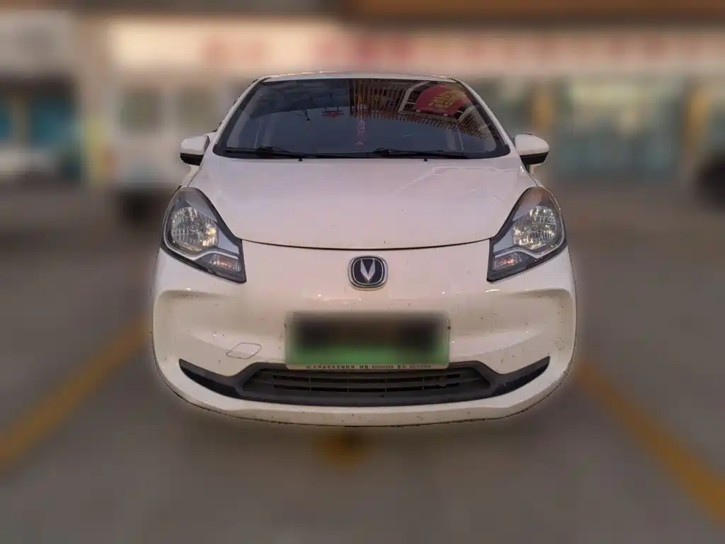 Фото 2 - Changan Benben E-Star