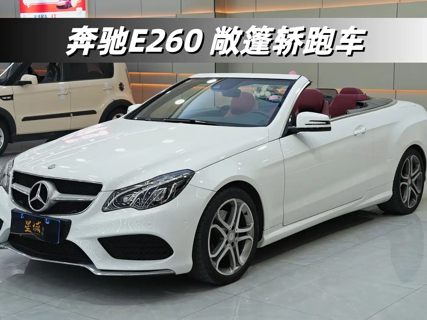 Mercedes-Benz E-Class (Import) 2014 E 260 Convertible Coupe