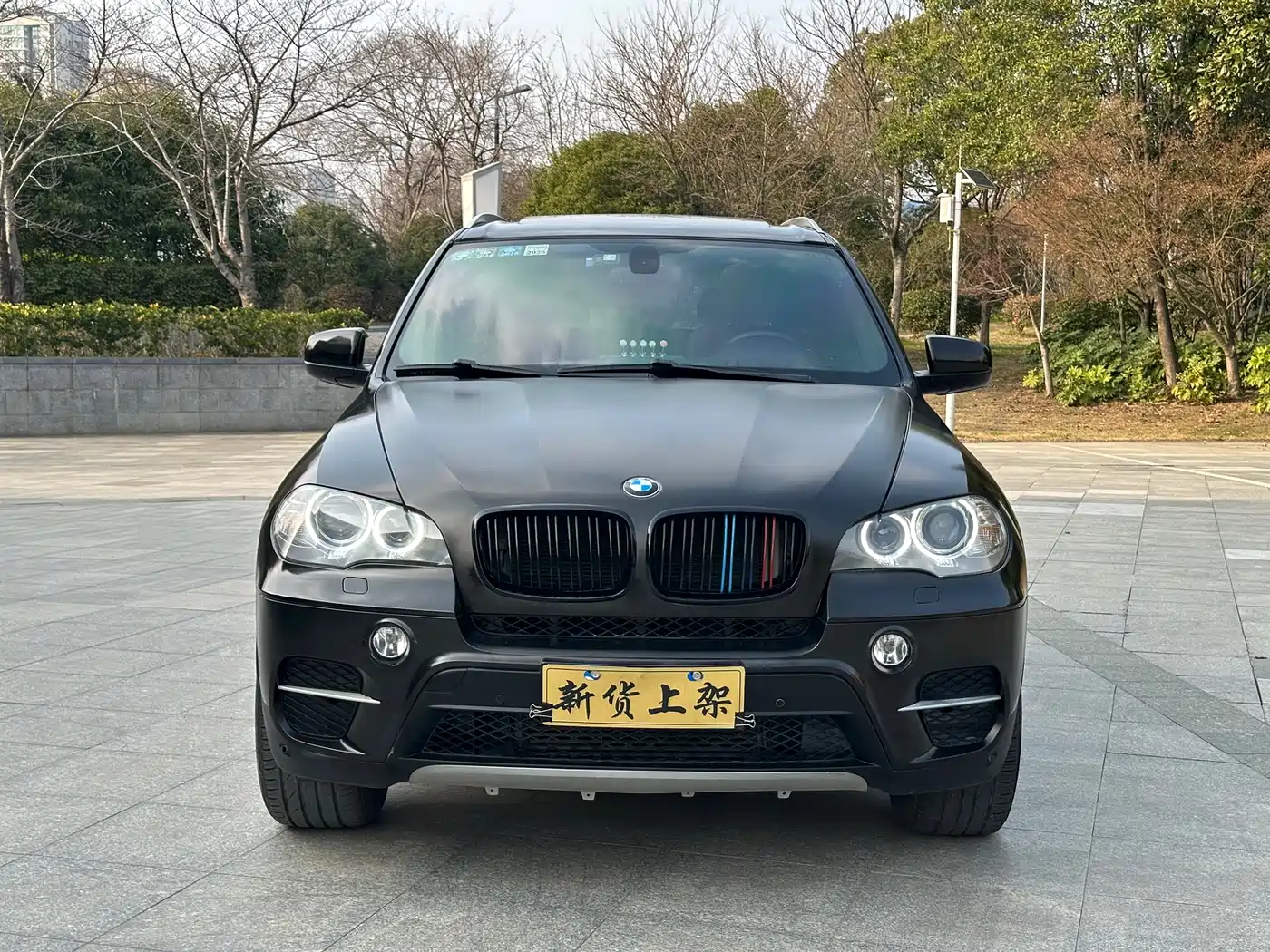BMW X5 (Import) 2013 xDrive35i Luxury фото 3