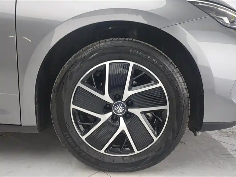 BYD Qin L 2024 DM-i 120KM Superior Edition фото 6