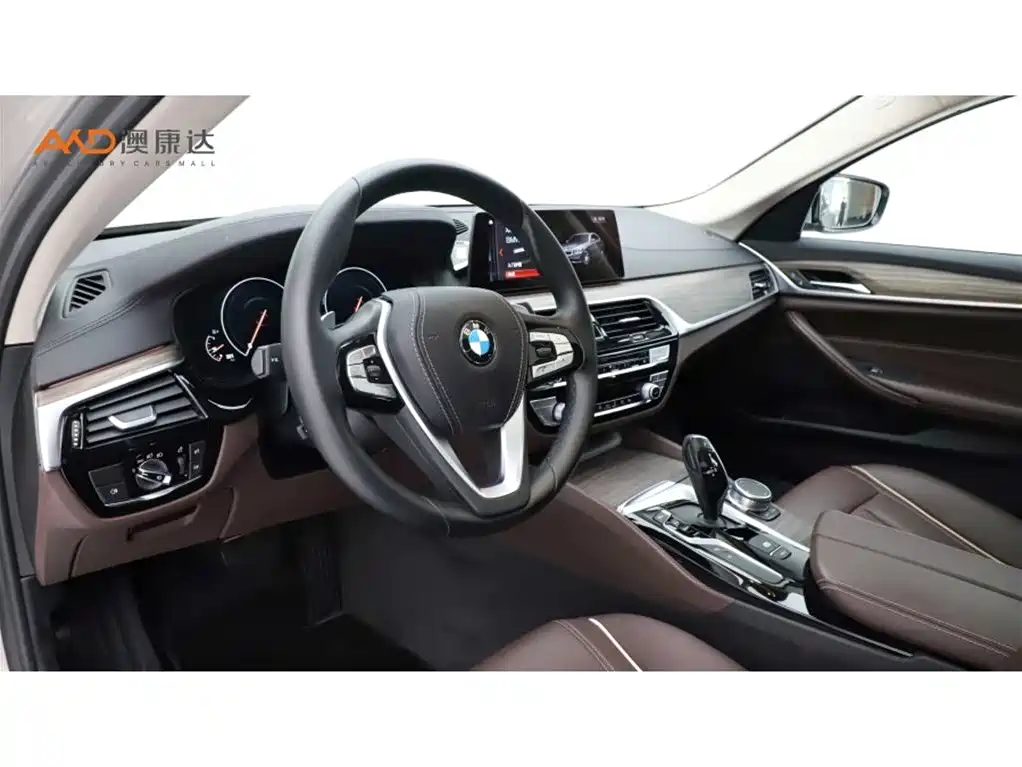 BMW 5 Series 2019 Facelift 530Li Leading Luxury Package фото 6