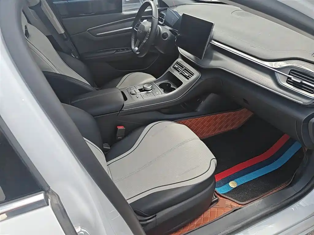 BYD Destroyer 05 2024 Glory Edition DM-i 55KM Luxury фото 20