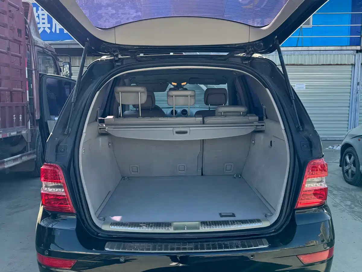 Mercedes-Benz M-Class 2010 ML 300 4MATIC фото 14