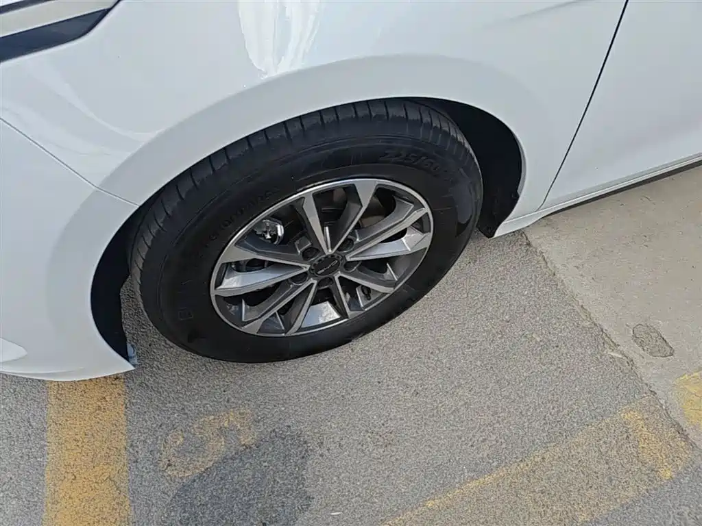 BYD Destroyer 05 2024 Glory Edition DM-i 55KM Luxury фото 25