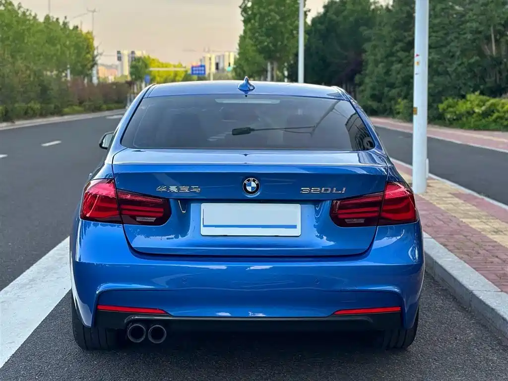 BMW 3 Series 2019 320Li M Sport Black Night Edition фото 7
