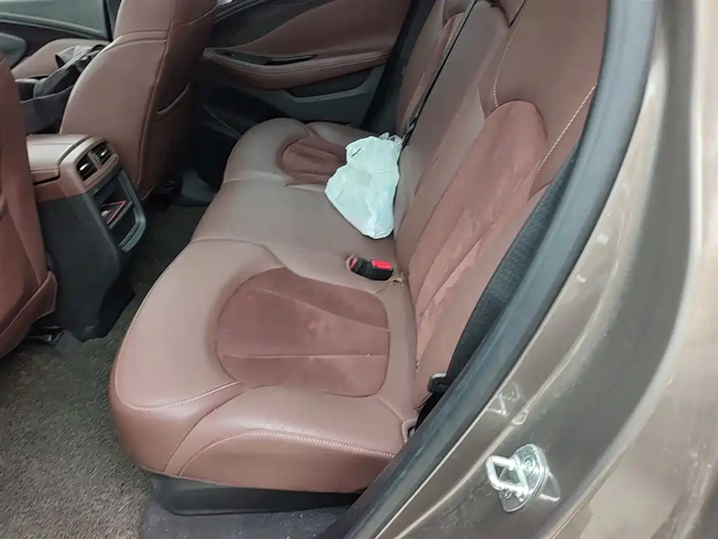 Buick Envision Plus 2016 20T 2WD Elite фото 15