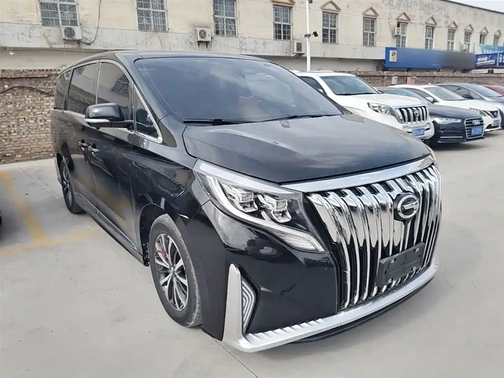 GAC Trumpchi Trumpchi M8 2021 Leading Show Series 390T Premium Edition фото 4