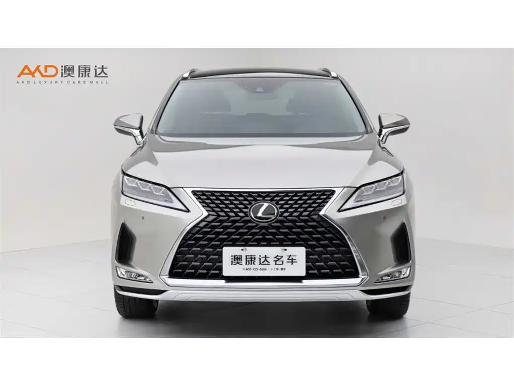 Lexus RX 2020 300 4WD Elegance Edition China VI фото 2