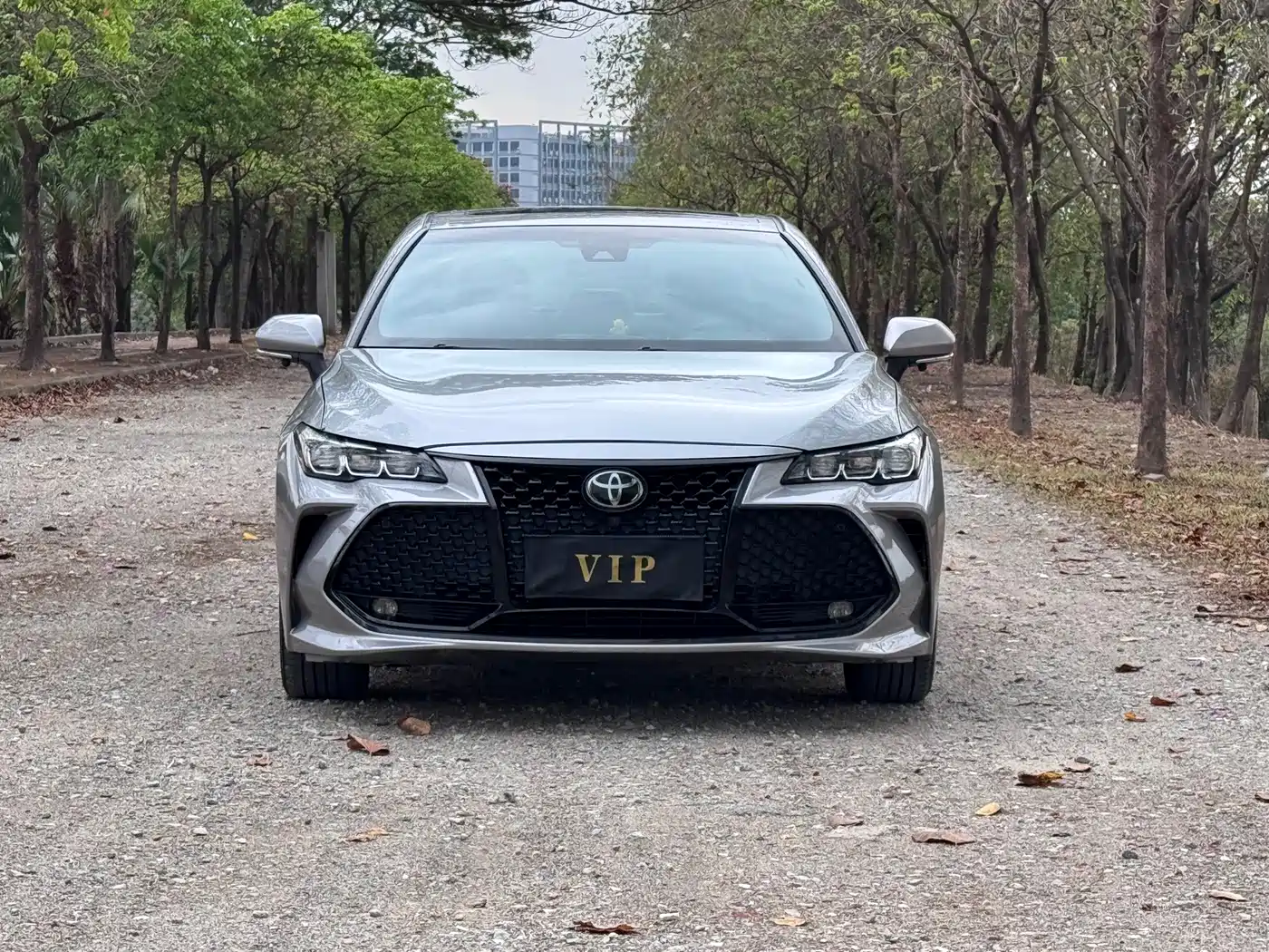 Toyota Avalon 2019 2.5L Progressive Edition China V фото 2