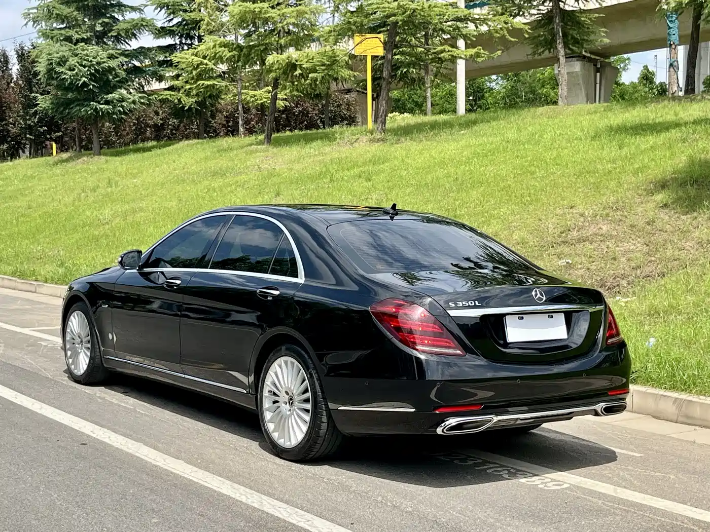 Mercedes-Benz S-Class 2020 S 350 L Business Edition Collector's Version фото 19