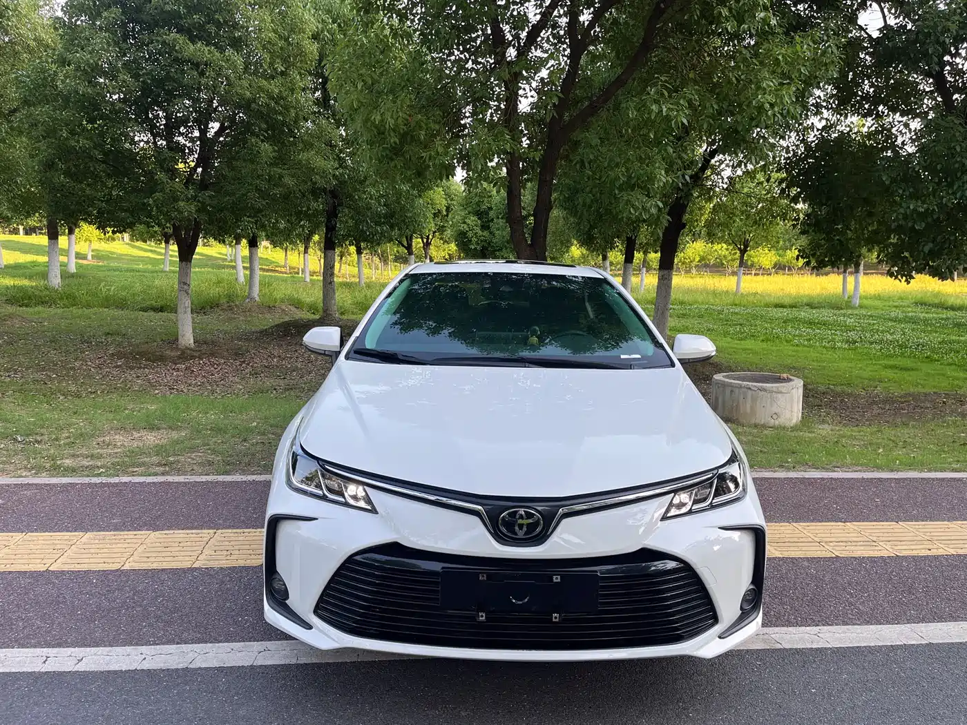 Toyota Corolla 2021 1.2T S-CVT Elite Edition фото 2
