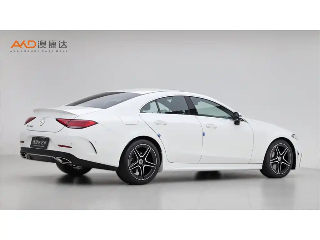 Mercedes-Benz CLS 2023 Model CLS 300 Luxury Version фото 3