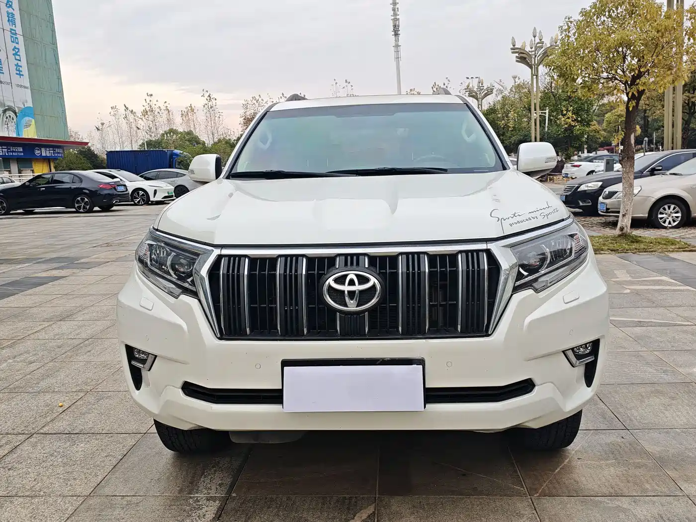 Toyota Prado 2018 3.5L Automatic TX-L Rear-mounted Spare Tire фото 2