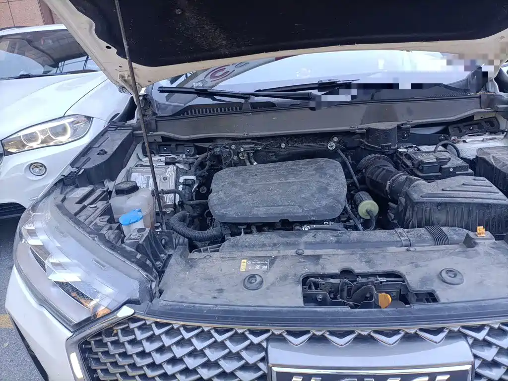 Haval H6 2025 2024 Model 1.5T 2WD Classic Edition