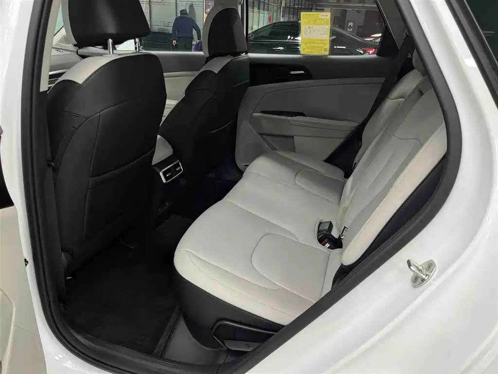 KIA LION PLATINUM EXPANDS THE WORLD