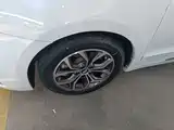 Фото 23 - Geely Borui