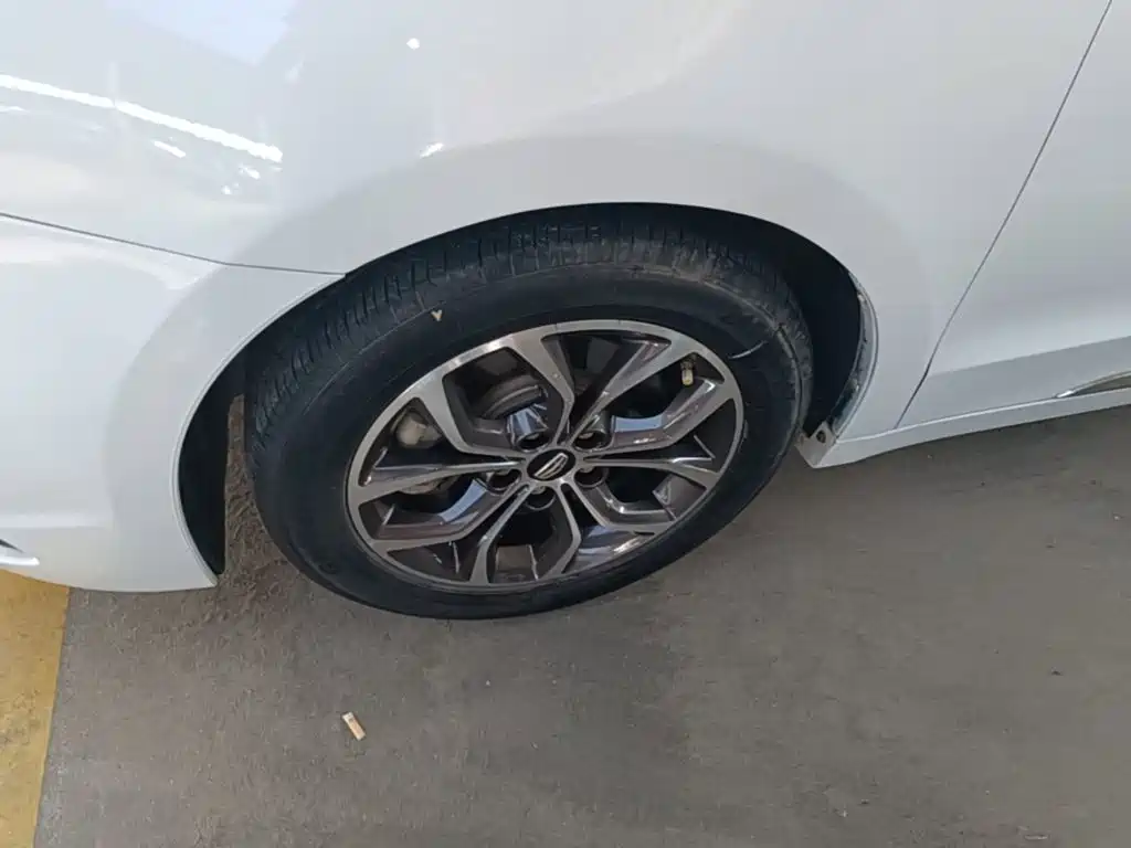 Фото 23 - Geely Borui