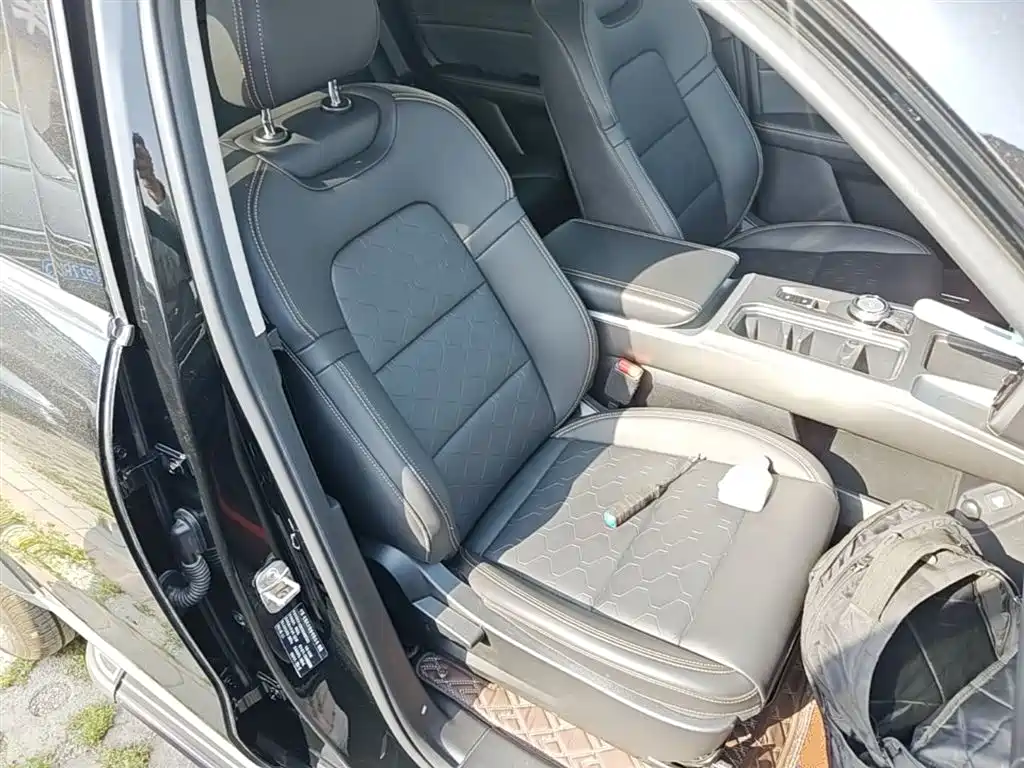 Haval Big Dog 2024 1.5T DCT Border Collie Edition фото 25