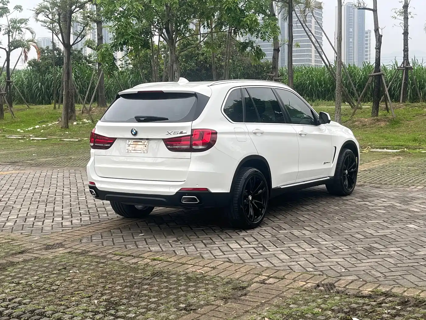 BMW X5 (Import) 2018 xDrive35i Elegant Model фото 5