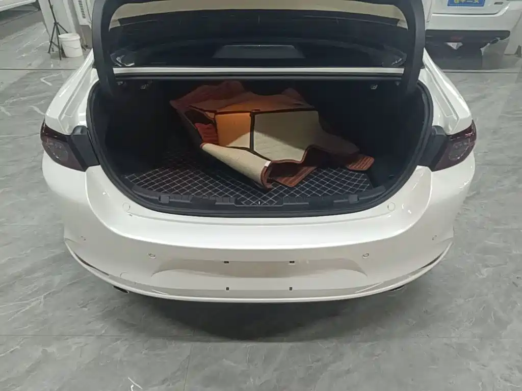 Mazda Mazda 3 2024 2023 2.0L Auto Zhiya