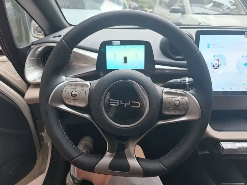 BYD Dolphin 2026 2025 420km Freedom Edition