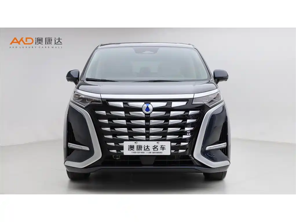 Denza D9 2022 DM-i 970 All-Wheel Drive Honor Edition фото 2