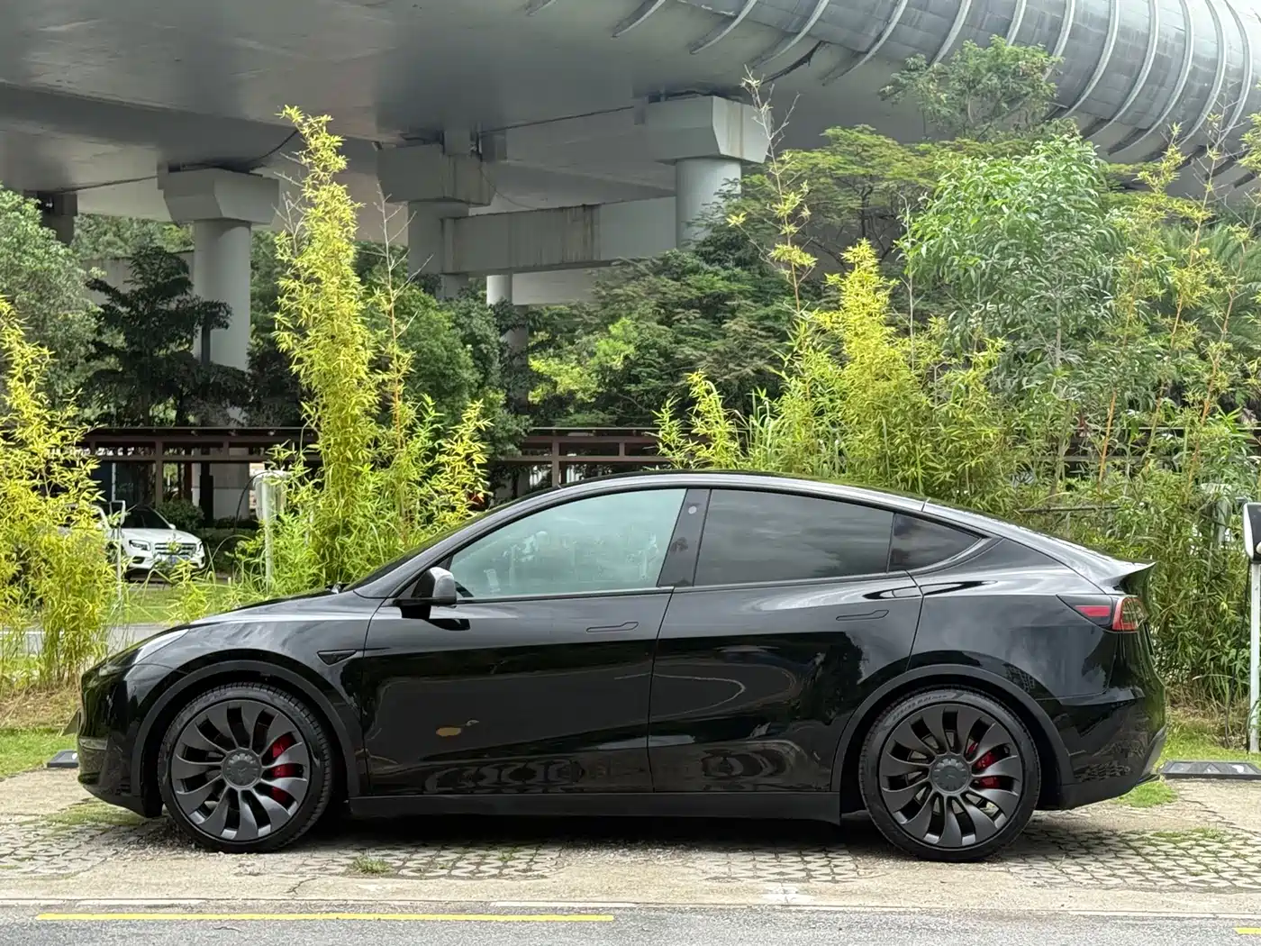 Фото 3 - Tesla Model Y