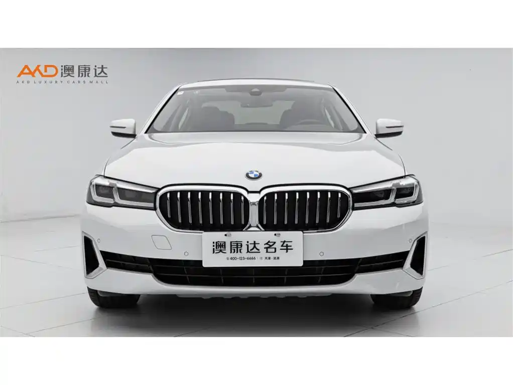 BMW 5 Series 2021 530Li Leading Luxury Package фото 2