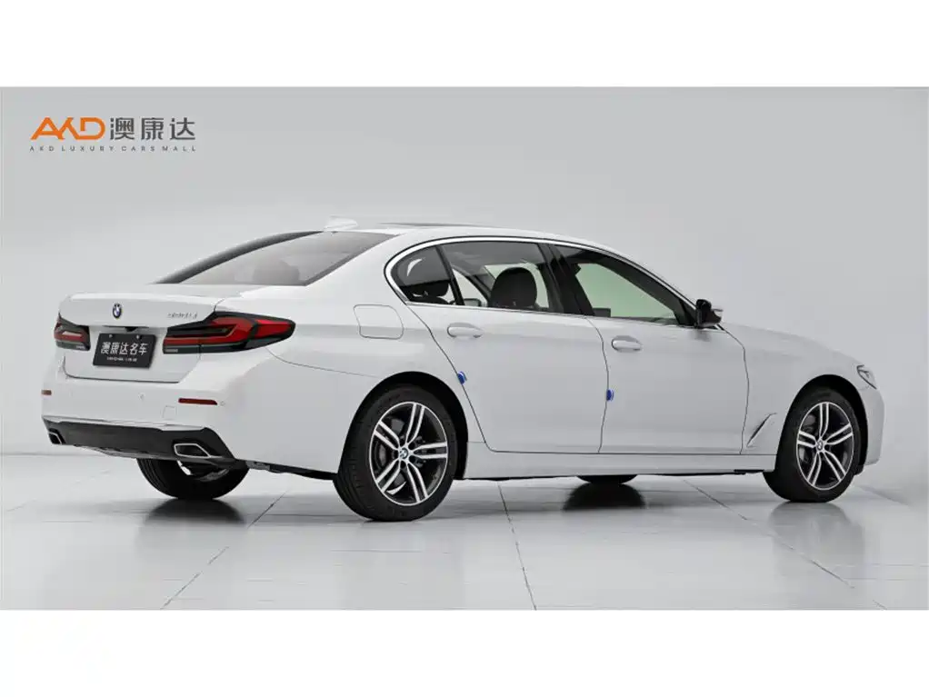 BMW 5 Series 2021 530Li Leading Luxury Package фото 3