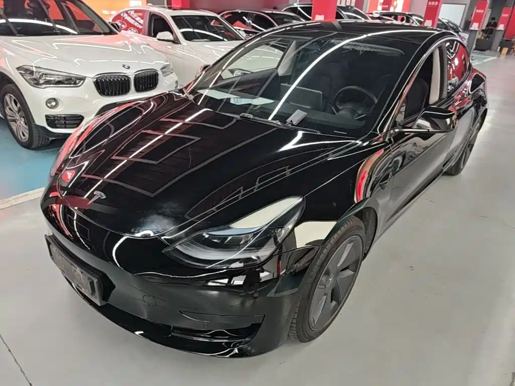 Tesla Model 3 2021 Standard Range Rear-Wheel Drive Upgrade 3D6