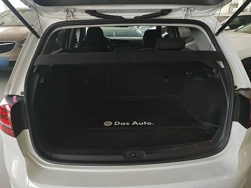 Volkswagen Golf 2017 1.6L Auto Comfort Millionth Edition фото 19