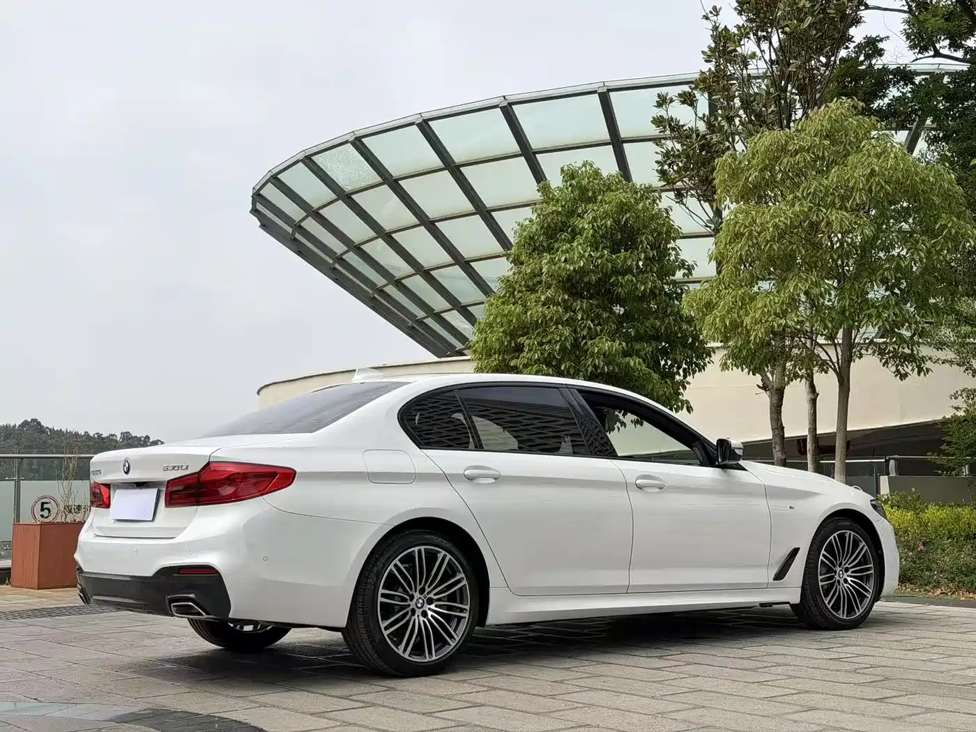 BMW 5 Series 2019 530Li Premium M Sport Package фото 7