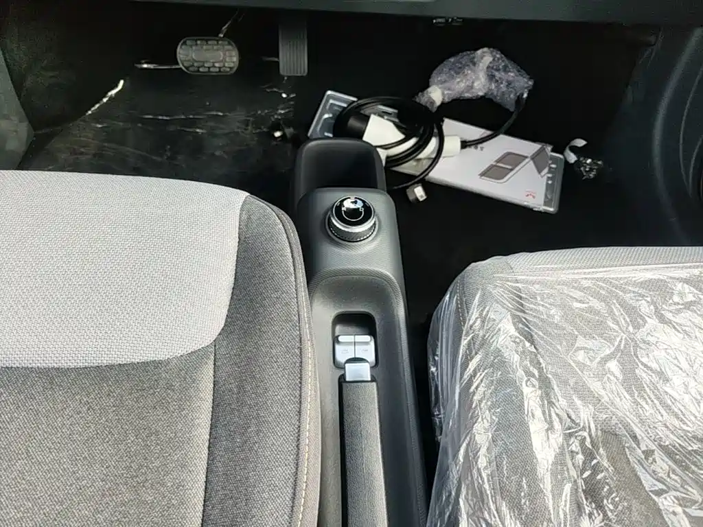 Wuling Motors Wuling Zhiguang NEV 2026 2025 Model 305km Base Version