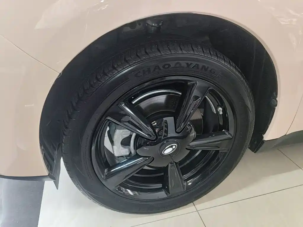 Ora Good Cat 2025 2024 401km Luxury