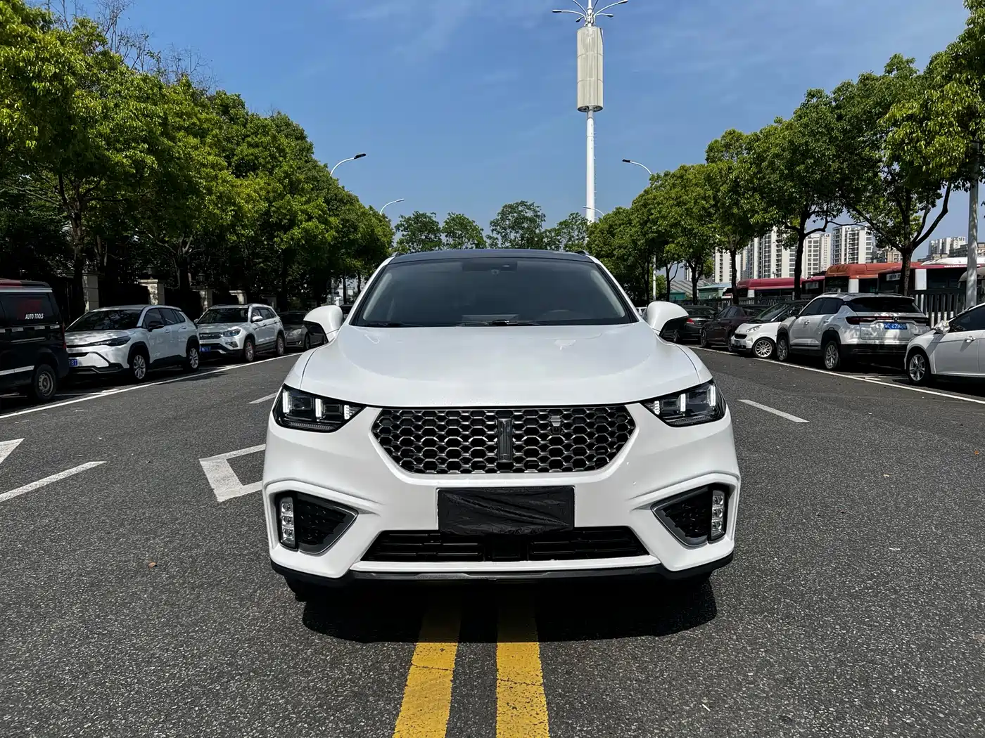 2021 WEY VV5
