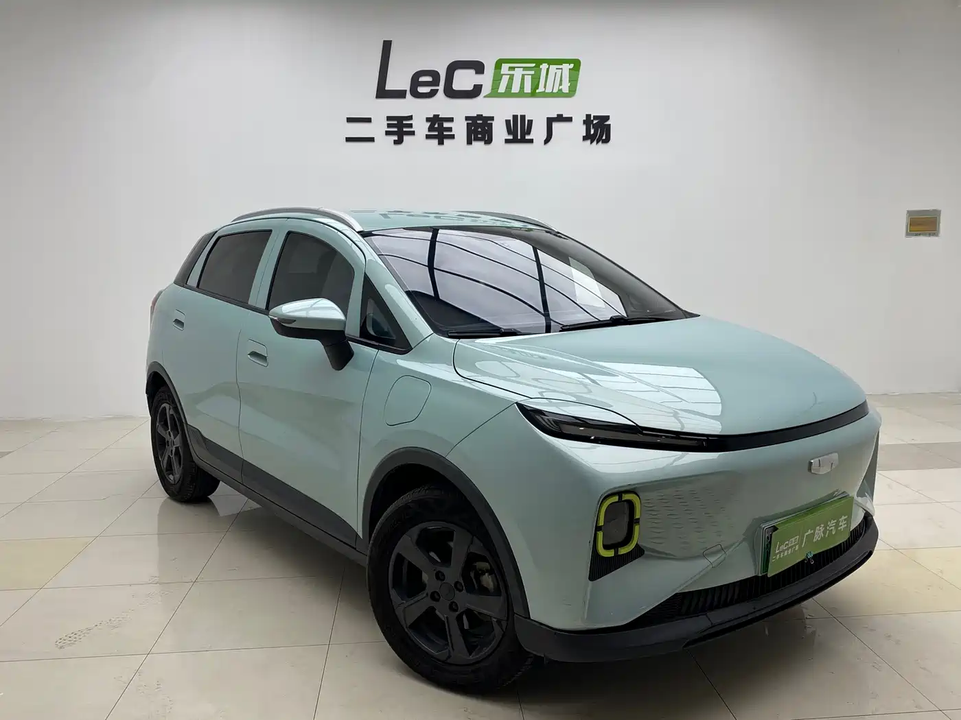 Geely Geometry E Firefly 2022 2022 320KM Well-behaved Tiger 4-seater