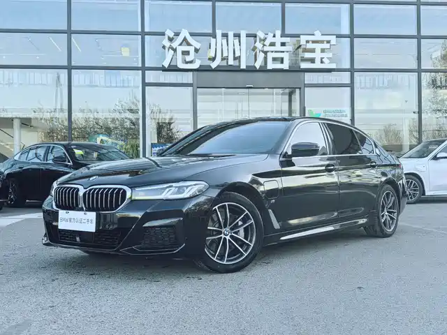 BMW 5 SERIES NEW ENERGY