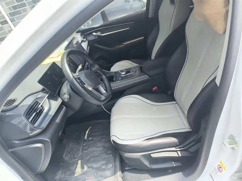 BYD Destroyer 05 2024 Glory Edition DM-i 55KM Luxury фото 8