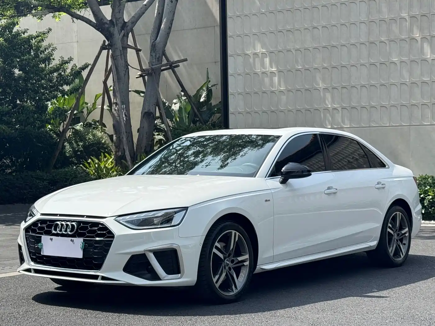 Audi A4L 2020 40 TFSI Luxury Dynamic